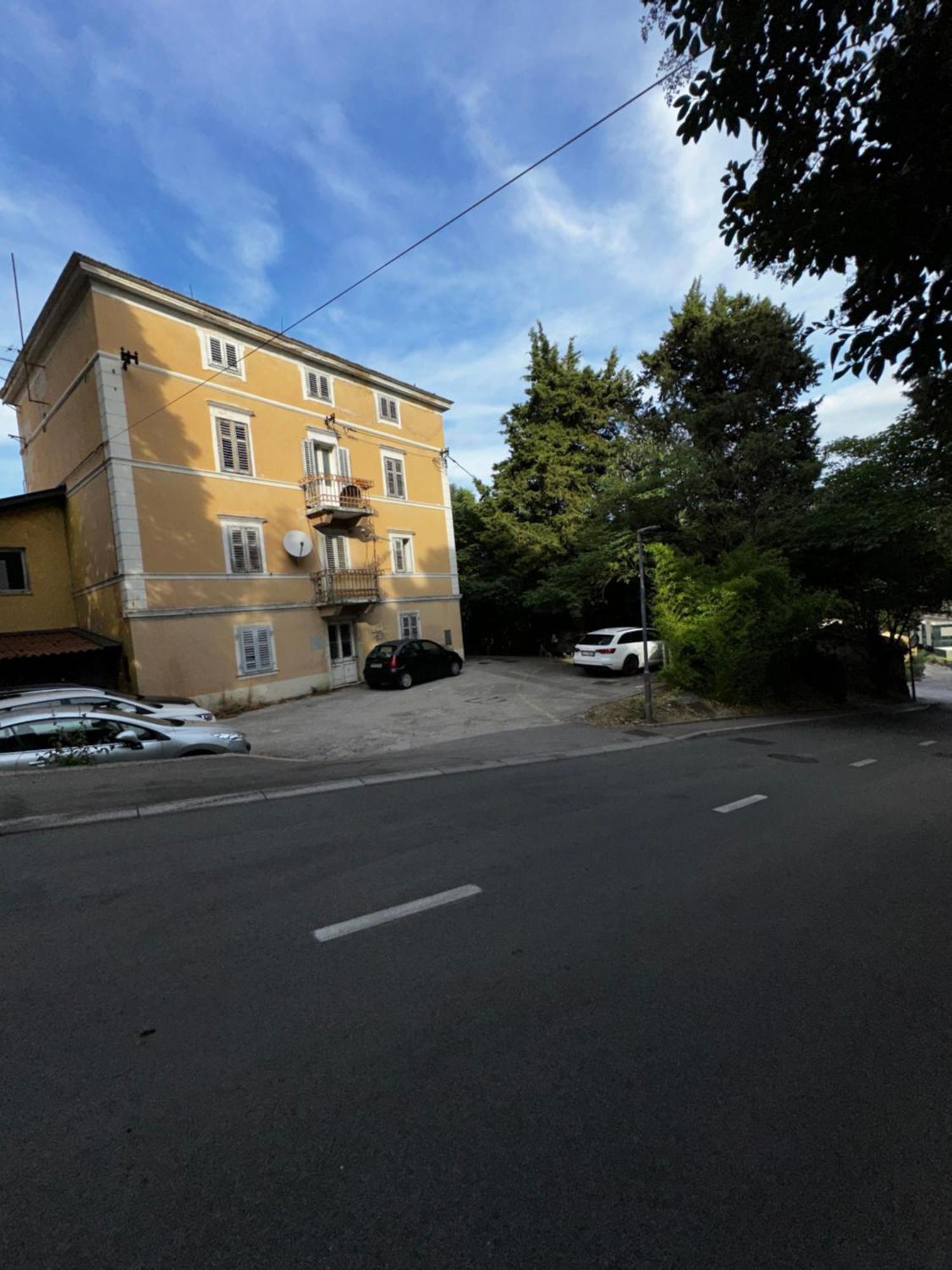 Apartma Rose
